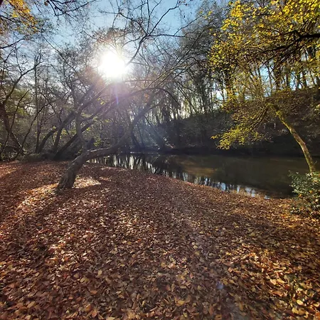 Les Coquelicots Pompejac