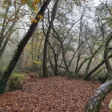 Les Coquelicots Homestay *