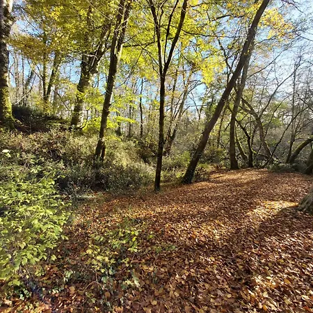Homestay Les Coquelicots