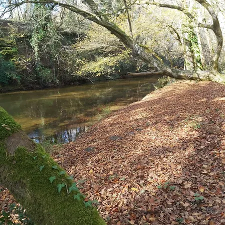Les Coquelicots * Pompejac