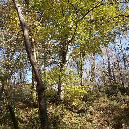 Les Coquelicots Homestay *