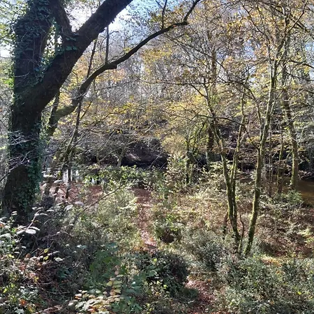 Les Coquelicots * Pompejac