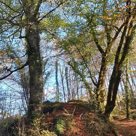 Homestay Les Coquelicots Pompejac