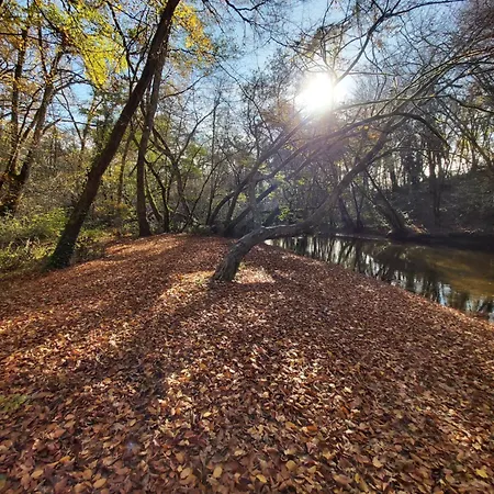 Les Coquelicots Pompejac