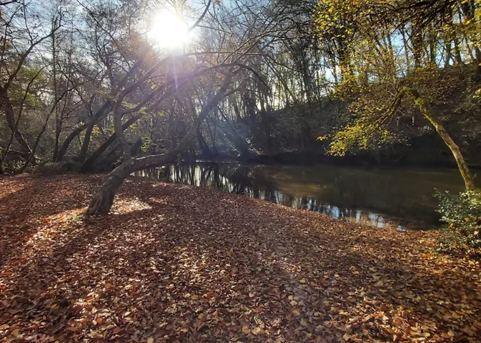 Les Coquelicots Pompejac