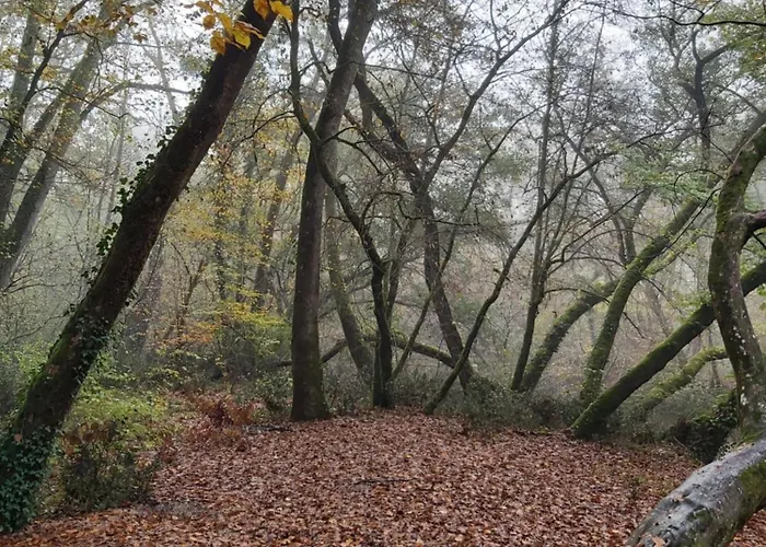 Les Coquelicots Kwatera prywatna *
