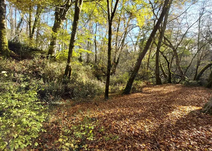 Kwatera prywatna Les Coquelicots