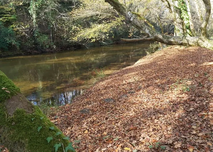 Les Coquelicots * Pompejac