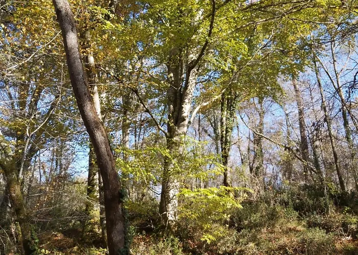 Les Coquelicots Rum i privatbostad *