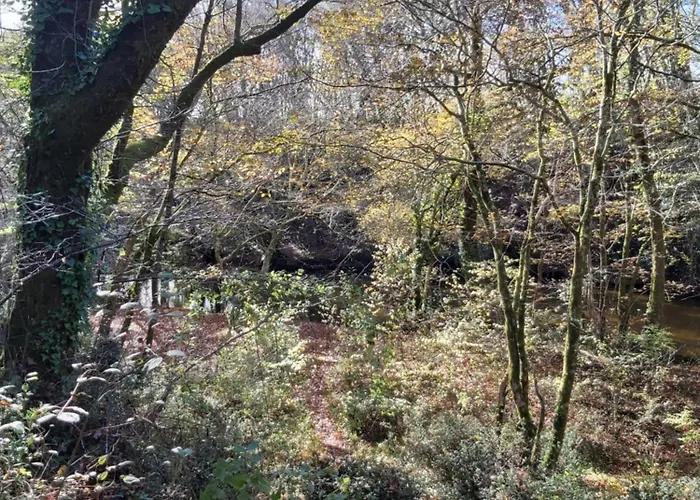 Les Coquelicots * Pompejac