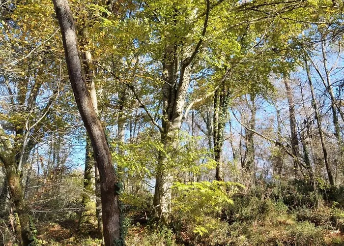 Les Coquelicots Rum i privatbostad *