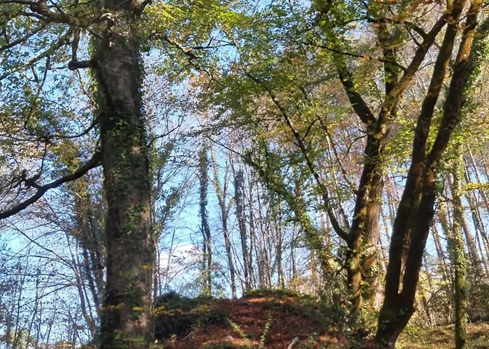 Kwatera prywatna Les Coquelicots Pompejac