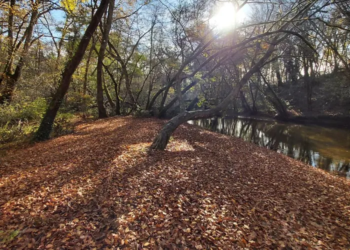 Les Coquelicots Pompejac