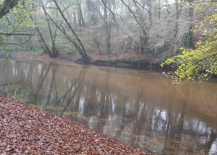 Les Coquelicots Kwatera prywatna Pompejac